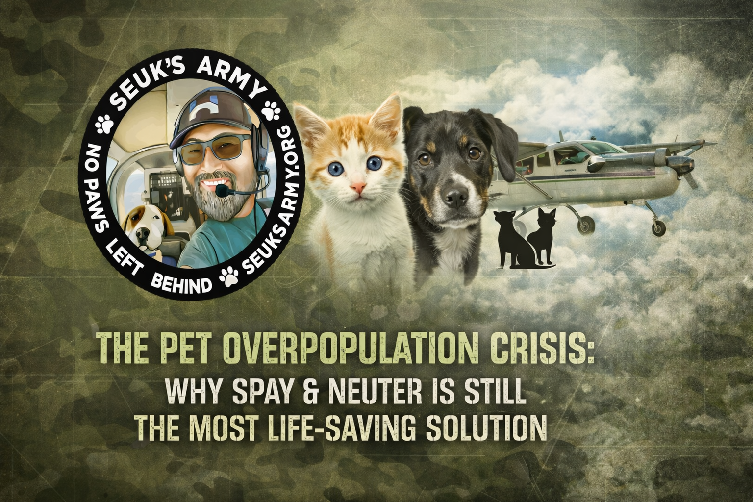 The Pet Overpopulation Crisis: Why Spay & Neuter Is Still the Most Life-Saving Solution